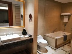 -圣爵菲斯大酒店(长沙世界之窗店)