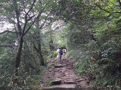 -东天目山风景区