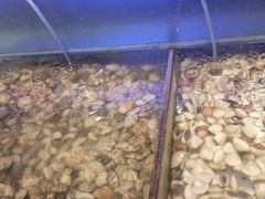 -蒙肥羊·酸汤潮牛·鲜牛肉火锅烤肉自助(岗顶店)