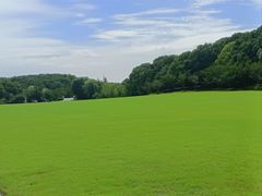 -昆山城市生态森林公园