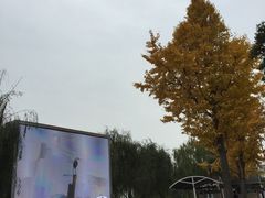 -太湖湖滨国家湿地公园-停车场