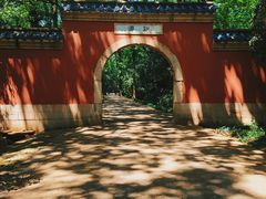 -灵谷景区