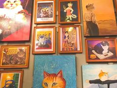 -猫咪博物馆(顶澳仔猫街店)