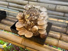 -鲜货俚·现切牛肉·野生菌原生态火锅(西城永捷生活广场店)