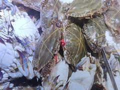 -聚盛源蒸汽海鲜火锅烤肉自助(巨川金海岸购物广场店)