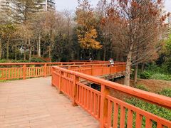 -广东花都湖国家湿地公园