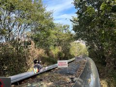 -富斯特索道