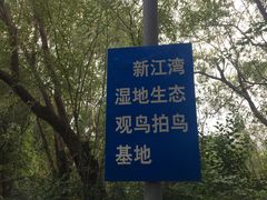 -新江湾城公园