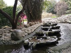 -成都市活水公园