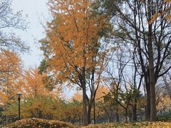 -玲珑塔公园