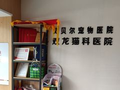-艾贝尔宠物医院·24H转诊中心·肿瘤猫专科(江宁双龙店)