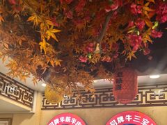 -金杨拉面王小吃面馆·牛三宝面·红烧牛肉粉