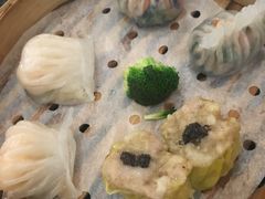 -新兴·金羊座·粤菜点心(乐峰店)
