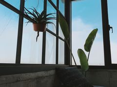 -Cafe Rooftop Cheongsapo