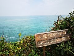 -杨梅坑