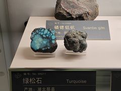 -中国地质博物馆