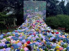 -上海共青森林公园