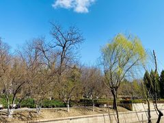 -海棠花溪(元大都城垣遗址公园)