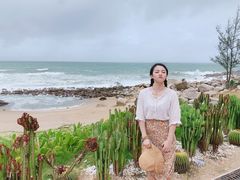 -广东惠东海龟国家级自然保护区