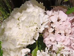 -谷莠子花艺·气球派对·绿植造景·花艺沙龙(金光华广场店)