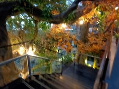 -云境生态园(红谷滩店)
