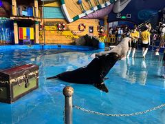 -烟台海昌鲸鲨海洋公园