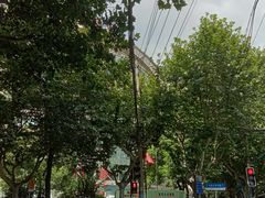 -复旦大学附属华山医院(总院)