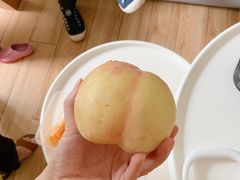 -田园东方蜜桃村的田野营地