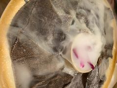 -舒家大院重庆老火锅(纪念塔店)