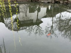 -拙政园