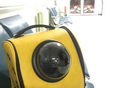 -北京观赏动物医院·24小时大型综合·猫专科·异宠专科