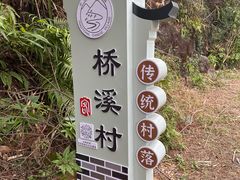 -雁南飞茶田景区