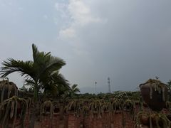 -一寨两国风景区