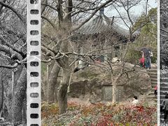 -宝石山