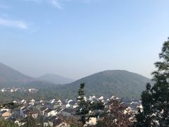 -香雪海