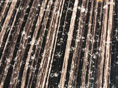 -NY STEAK 牛一扒房(番禺区南城路店)