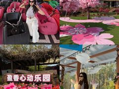 -盈香心动乐园
