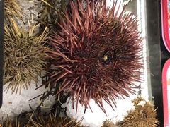 -HIHE Bistro·Oyster Bar(华熙live店)