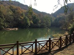 -白马涧龙池景区