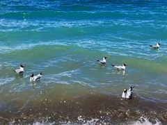 -青海湖国家重点风景名胜区