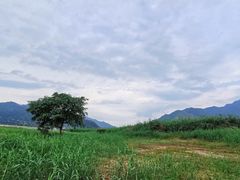 -羚羊峡古栈道森林公园