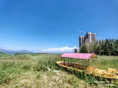 -观澜小洱海
