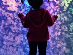 -烟台海昌鲸鲨海洋公园