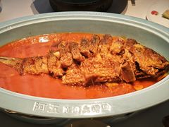 -阿五黄河大鲤鱼(英协路店)
