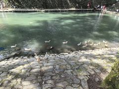 -鹿亭中村