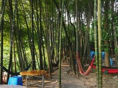-金水泊山庄·花椒鸡(铁山坪店)