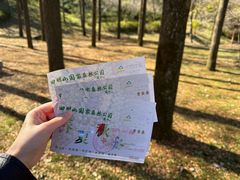 -四明山国家森林公园