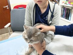 -美联众合动物医院·24h转诊中心