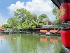 -侨美·唐荔园·40年地道粤菜