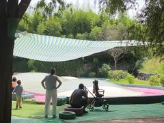 -西部长青自然儿童乐园